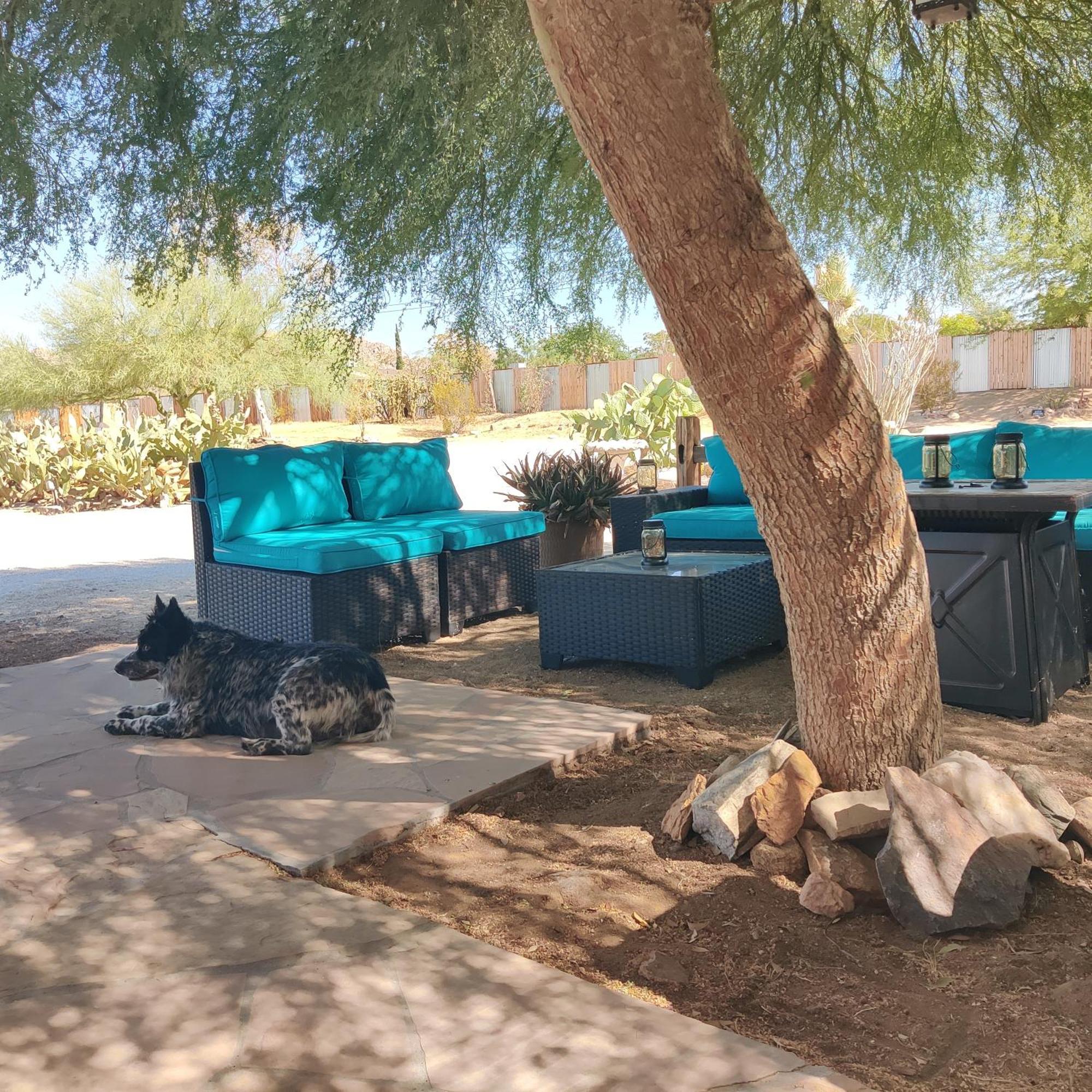 Joshua Tree Ranch House Motel - Downtown - Room #8 Kültér fotó
